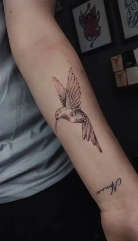 Tatuaje Colibrí en estilo línea fina — Seba Puratinta, Hurlingham